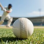 Which Cricket Ball is Used in the T20 World Cup?